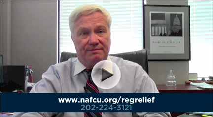Regulatory Relief for Credit Unions Act of 2013 - NAFCU