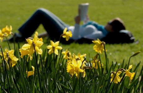 Image result for reading in the spring