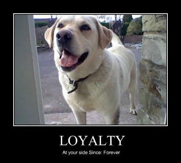 Loyalty.dog_