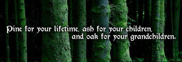 Image result for Irish sayings pine for your lifetime