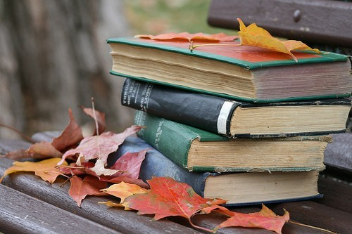 Image result for reading books in the fall