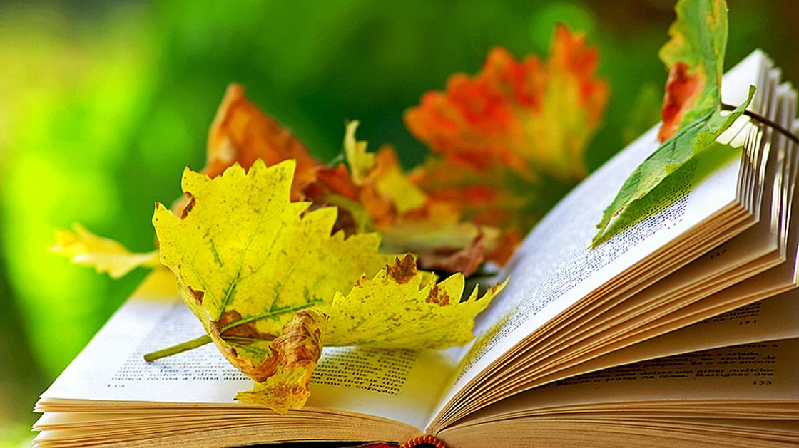 Image result for reading books in fall