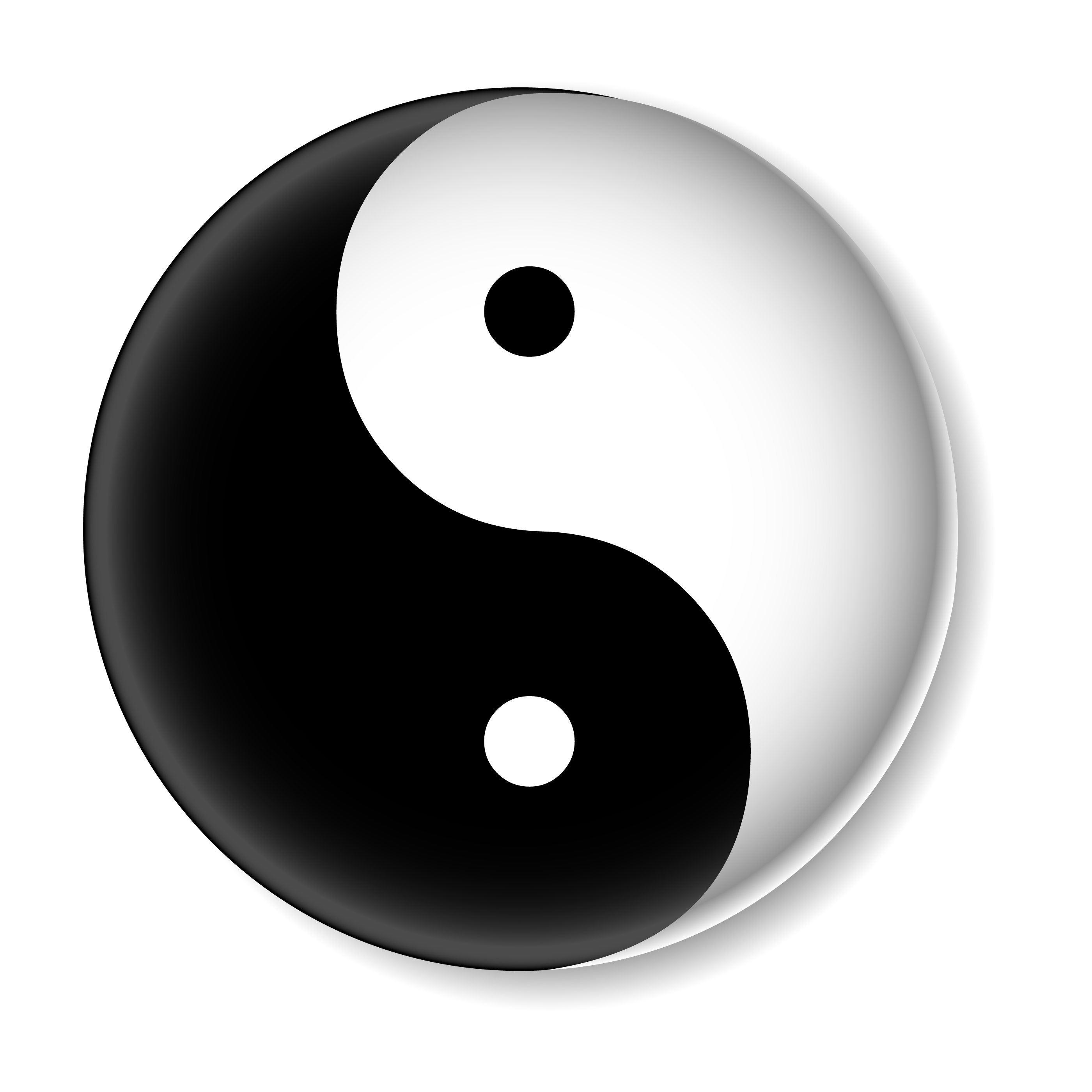 Image result for yin and yang
